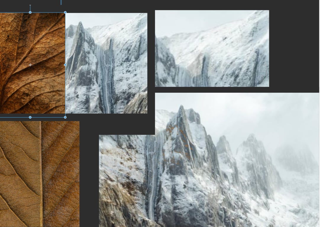 notion image