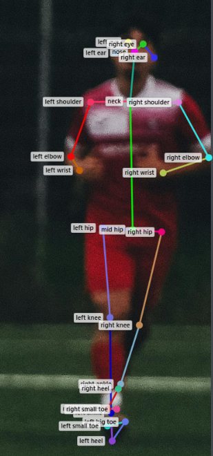 notion image