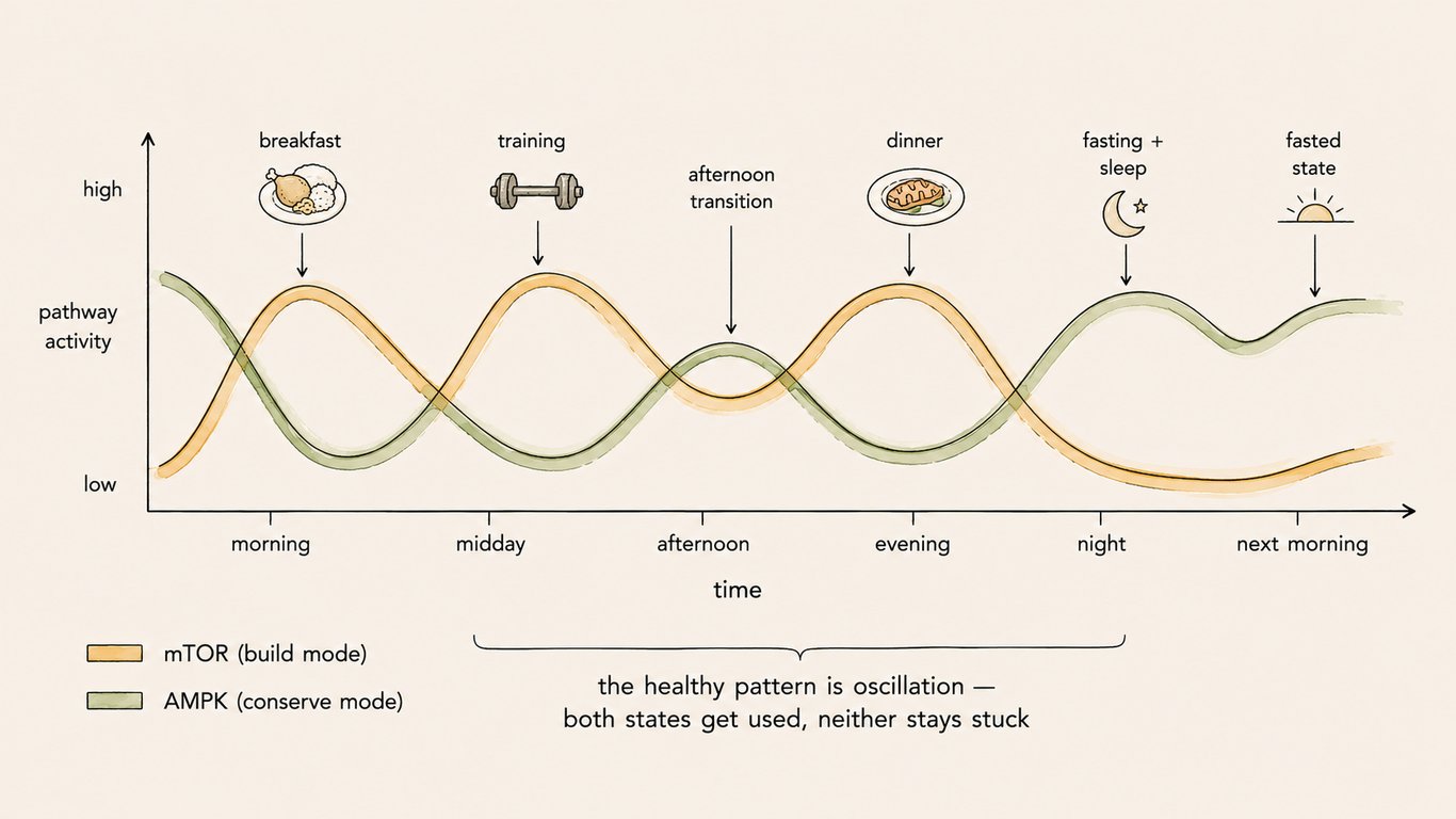 notion image