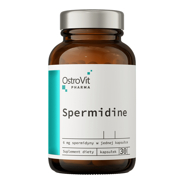 Spermidine