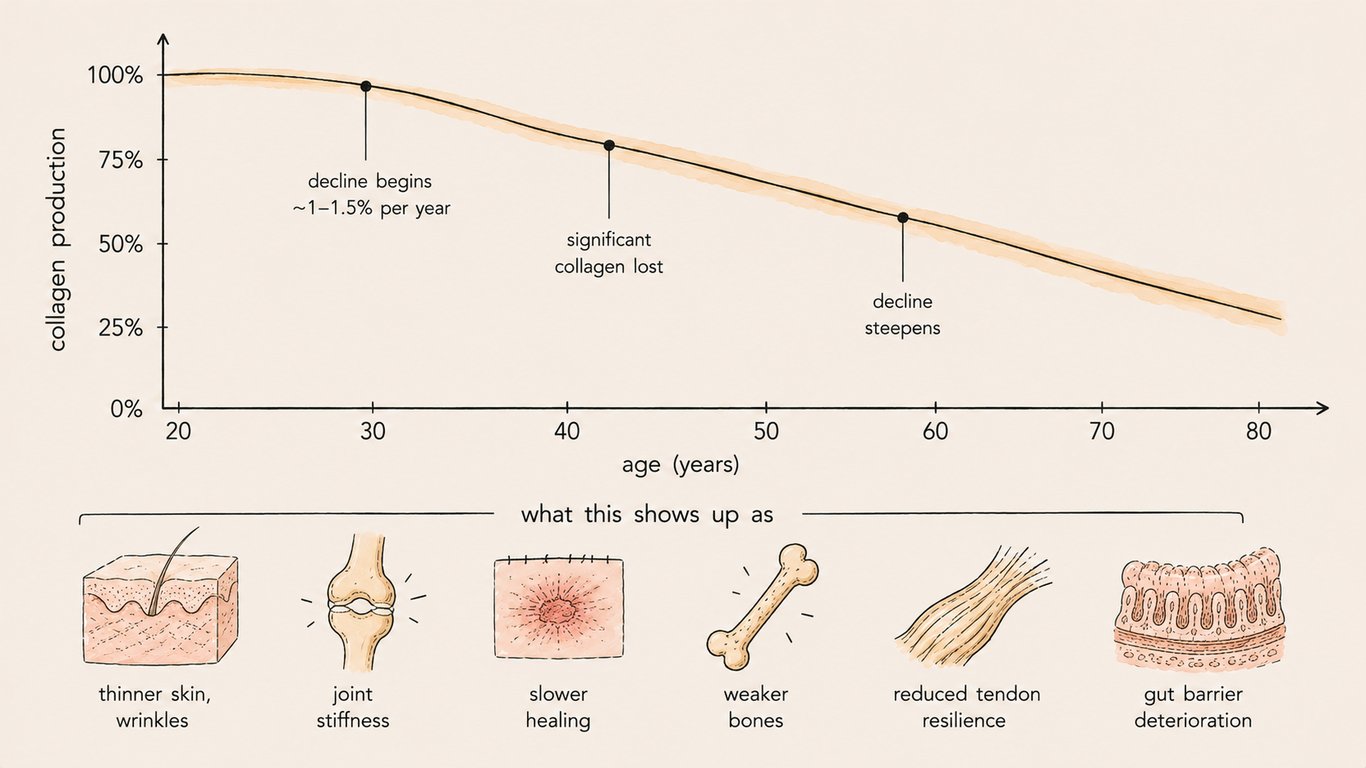 notion image