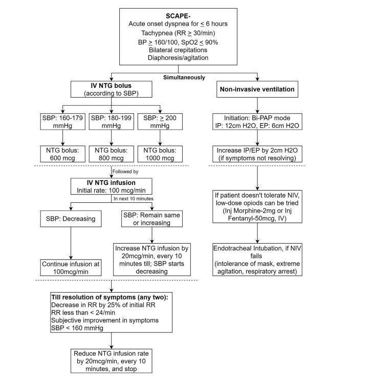 Mathew, Roshan, et al. "High-dose nitroglycerin bolus for sympathetic crashing acute pulmonary edema: a prospective observational pilot study." The Journal of emergency medicine 61.3 (2021): 271-277.
