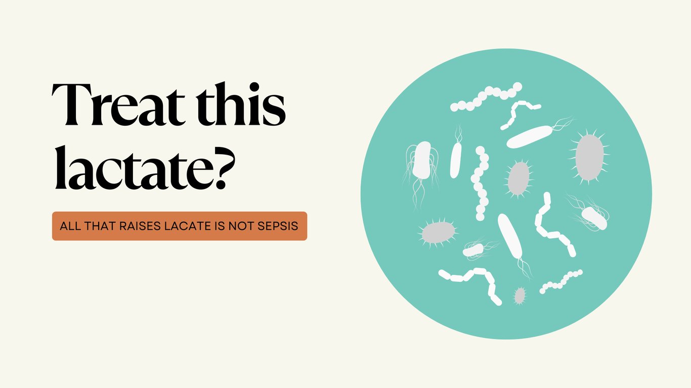Should I treat this lactate?