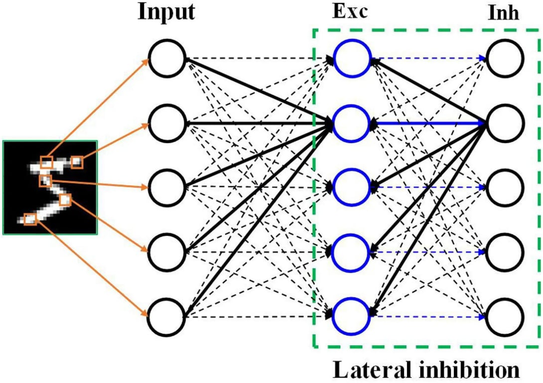 Figure 1: SNN architecture (Guo et. al, 2021)
