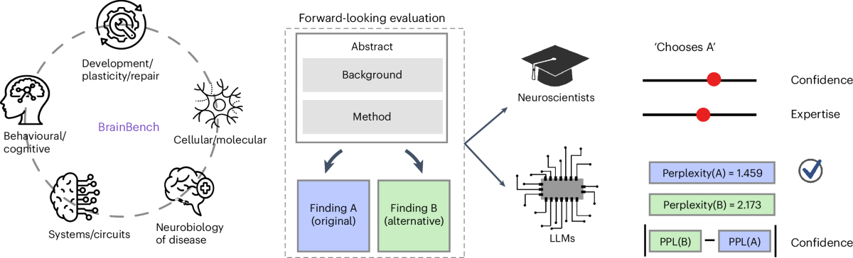 Fig. 2: BrainBench is a forward-looking benchmark for neuroscience (Luo et.al, 2024)