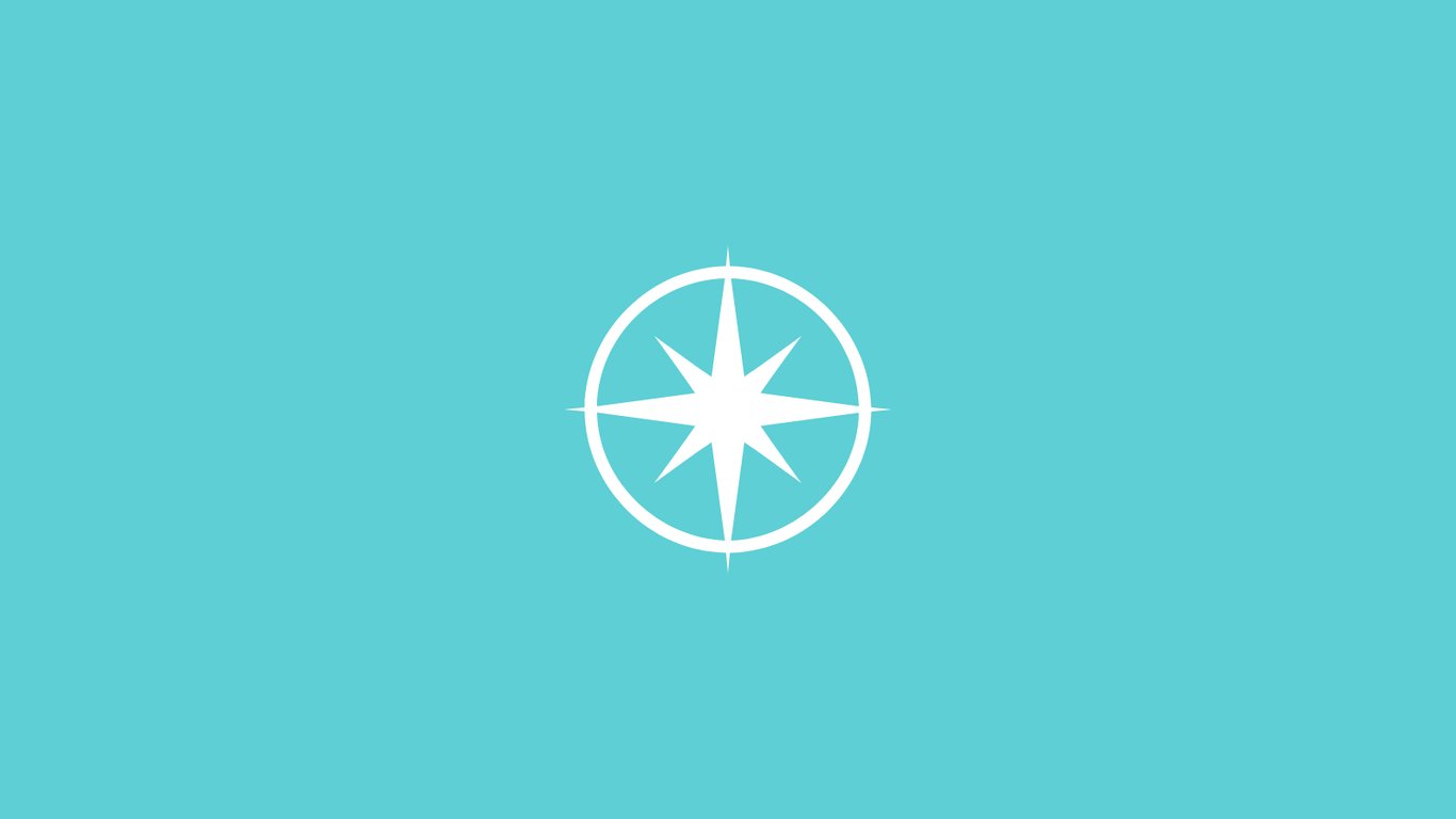 Advisor Partner Process