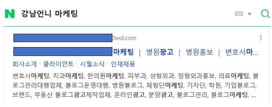 병원 홈페이지 네이버 상위노출 - 구조만 노출되는 유형