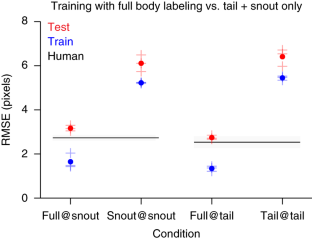 Figure 1: End-to-end training (Mathis et. al, 2018)