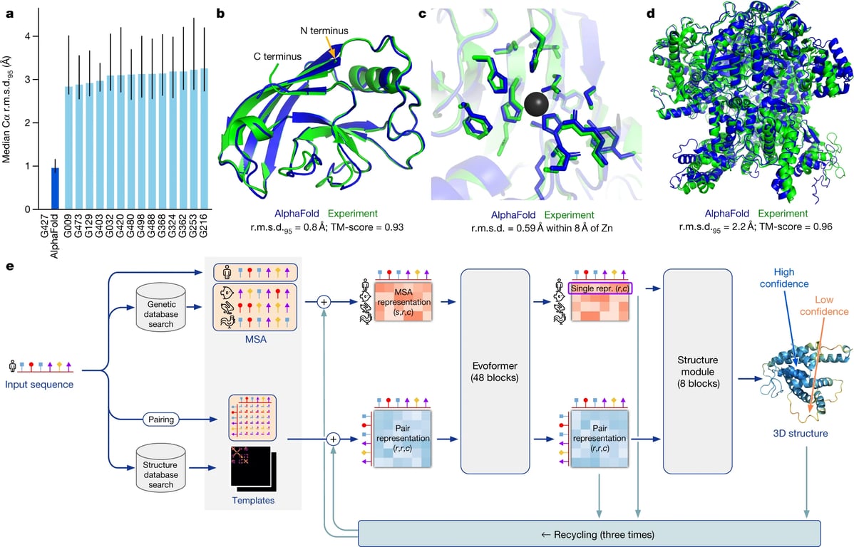 Figure 1: AlphaFold produces highly accurate structures (Jumper et.al, 2021)