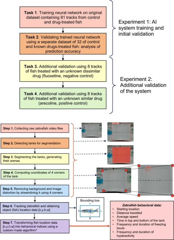 Figure 3: Experimental design and rationale (Lukovikove et.al, 2024)