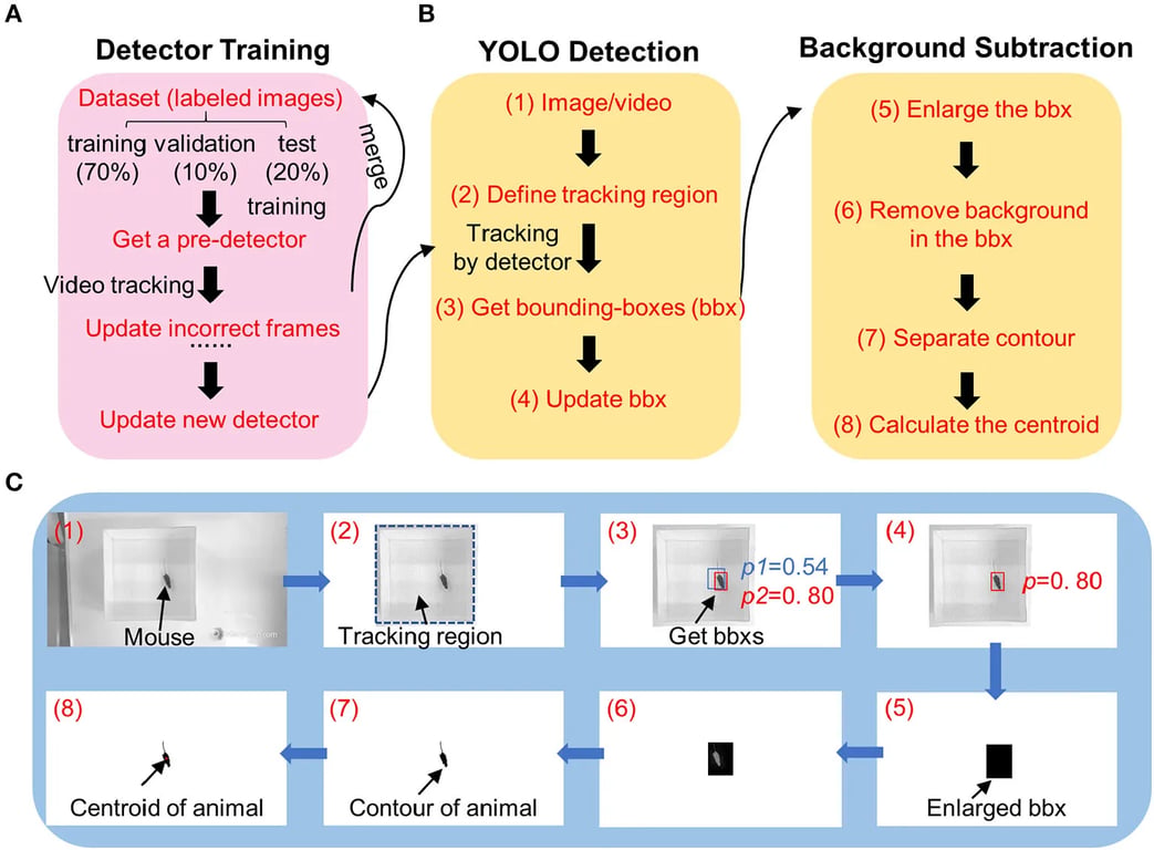 Figure 2: Workflow of DeepBhvTracking (Sun et. al, 2021)