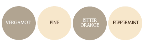 notion image