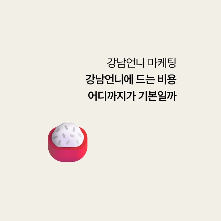 강남언니 마케팅: 강남언니에 드는 비용, 어디까지가 기본일까