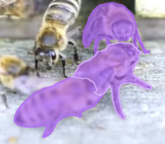 notion image