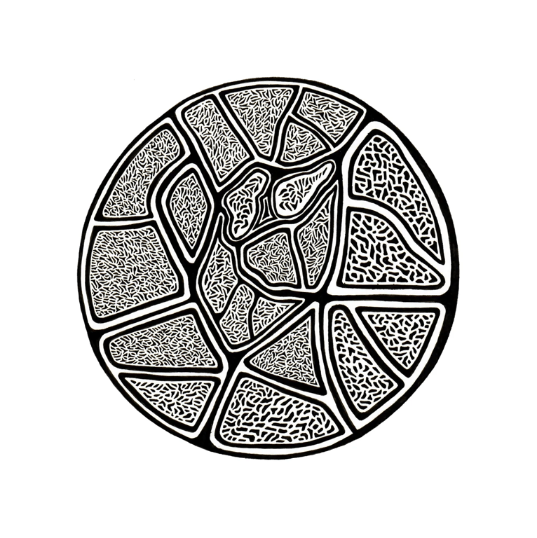 notion image