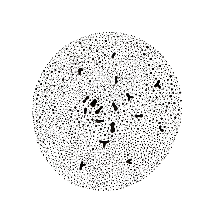 notion image