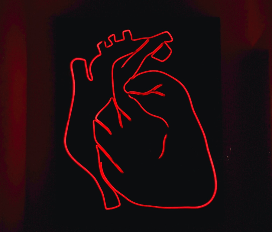 Modelling the Heart in a Dish