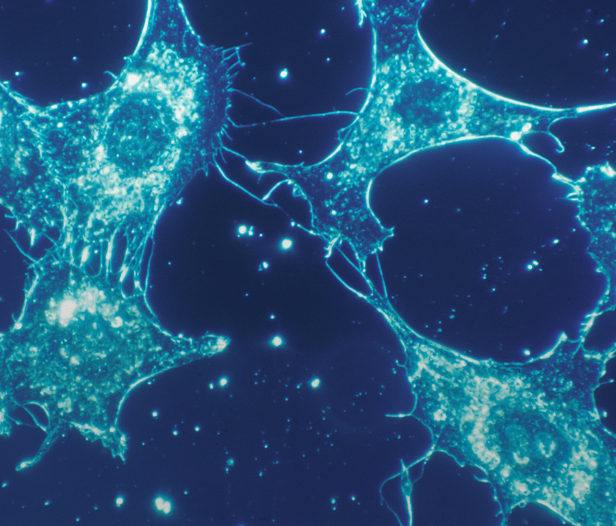 Communications at U of T’s Cell & Systems Biology Department