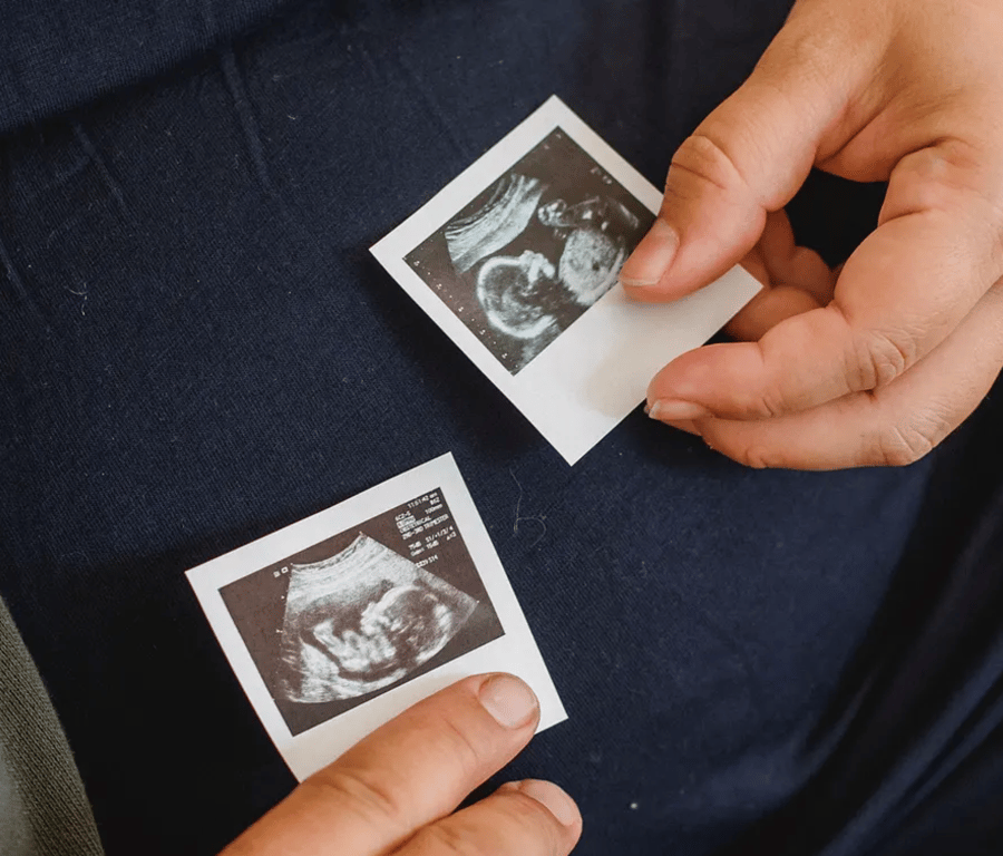 Unpacking a 27-year-old Panel Report on Human Embryo Research