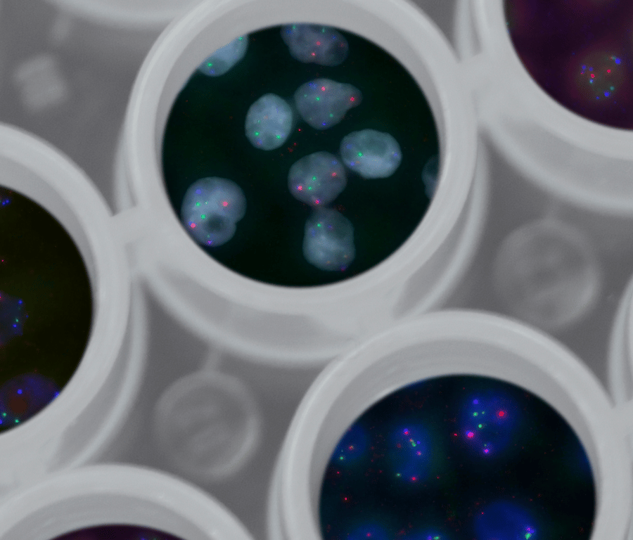 The Future of Synthetic Biology