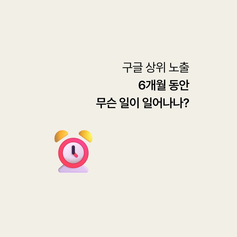 해외환자 유치: 구글 상위노출, 6개월 동안 실제로 무슨 일이 일어나나
