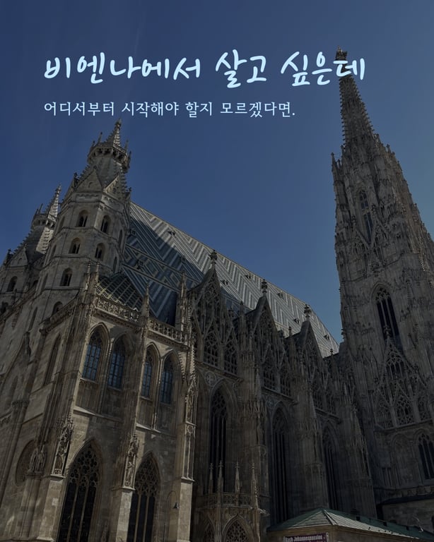 1:1 해외생활 진단신청 (Google Meet)