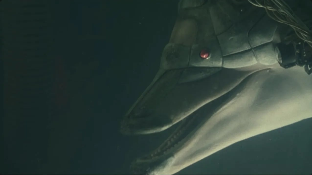Jones, the cybernetic dolphin, originally military trained — turned rebel mindhacker. As strange of moment as it is, this plot point actually is grounded in real world military dolphin programs.