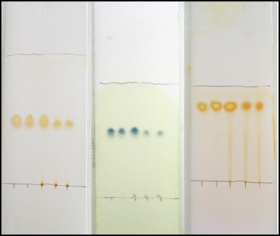 L: pure vs unpure (with baseline staining).
C: specific stain for resveratrol.
R: TLC to show impurities (streaks).