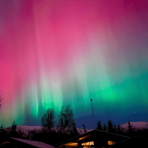 Credit: @discoverthewilds - Alaska. This is what I have been hoping to see. 