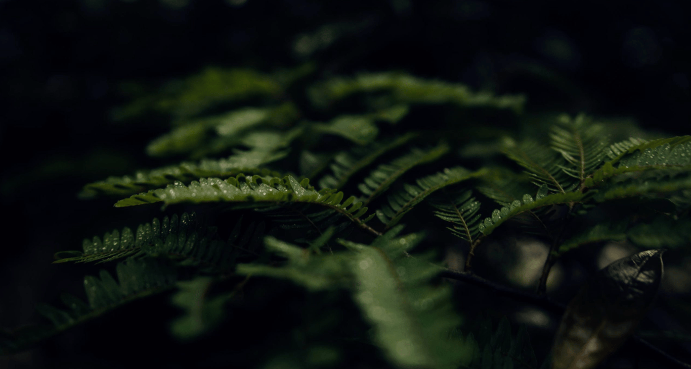 notion image