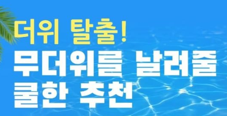 테무 8월 세일