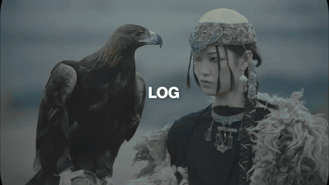 notion image