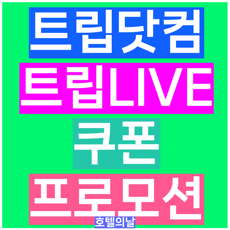 트립닷컴 쿠폰 8월 호텔 항공권 트립라이브