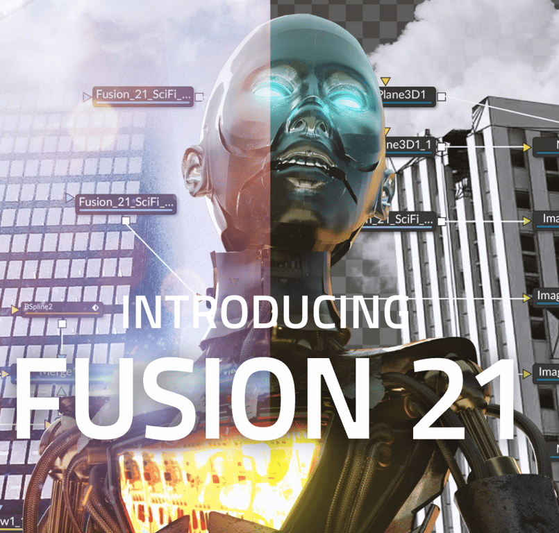 notion image