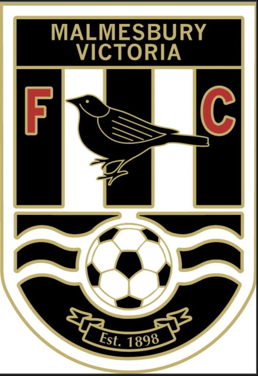 MVFC_Logo_2526-704x1024.jpg