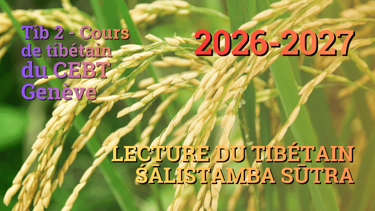Sutra pousse de riz 4