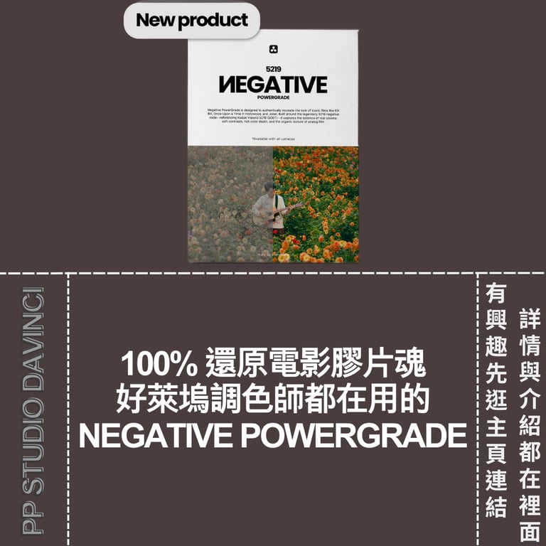 notion image