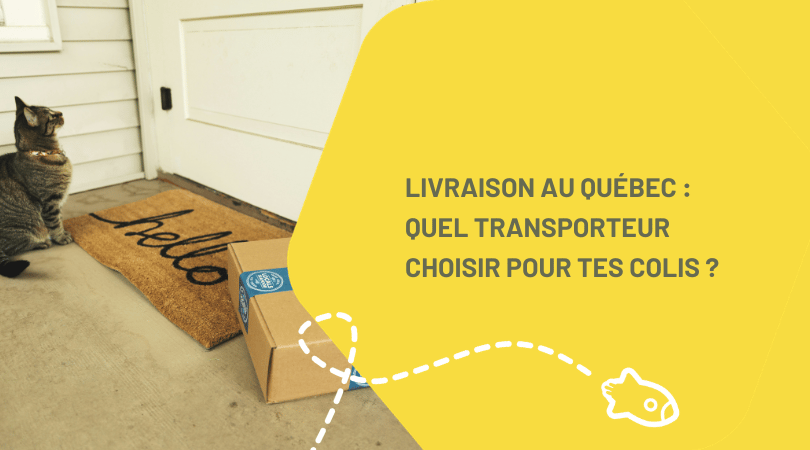 Livraison Shopify au Québec : quel transporteur choisir pour expédier tes colis ?