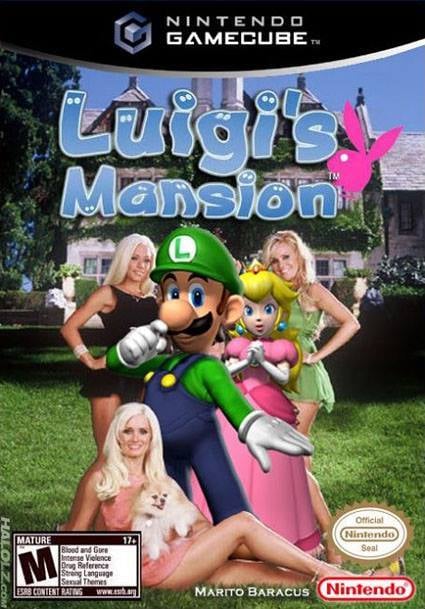 Luigi Mansion
