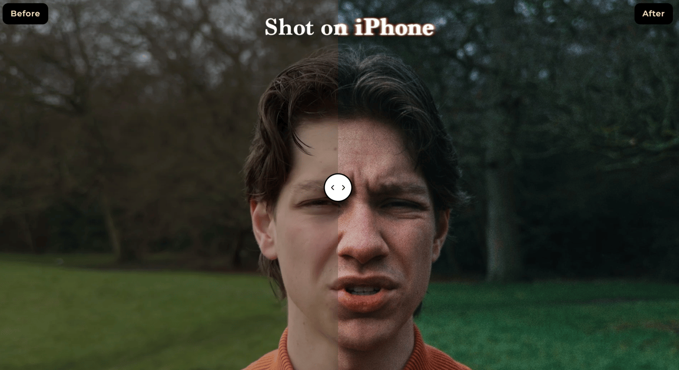 notion image