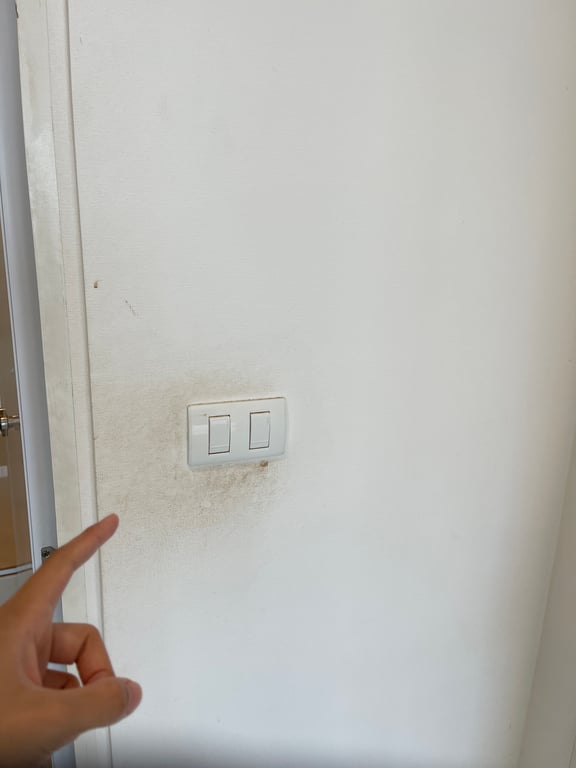 notion image