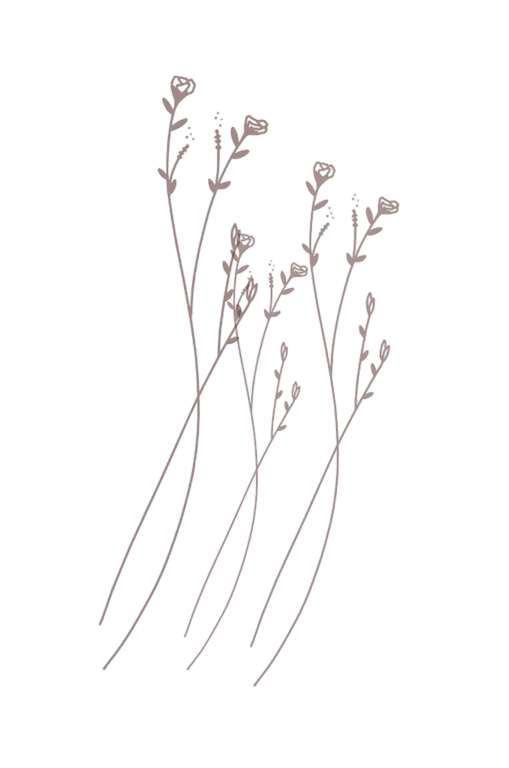 notion image