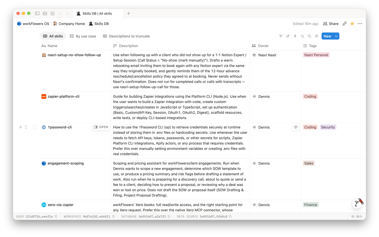 Our Skills database in Notion