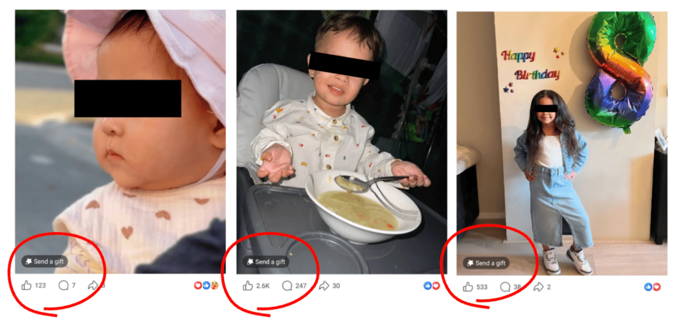 Figure 12: Examples of Facebook posts with the “Send a gift” label, indicating access to Facebook Stars [Accessed: Aug 2026]