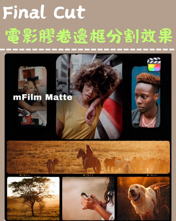 notion image