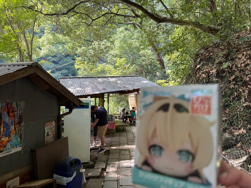 IMG_8227.jpeg