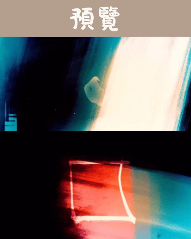 notion image