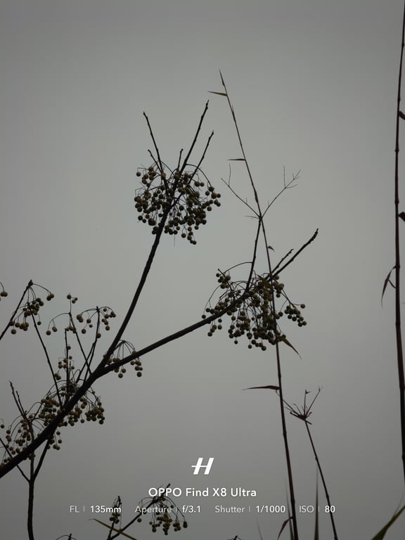 notion image