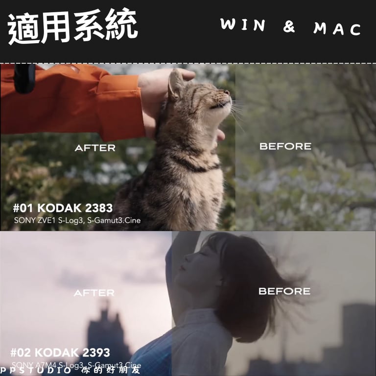 notion image