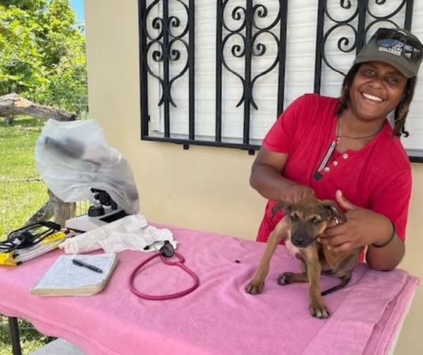Vet working with our supplies in Vanuatu.